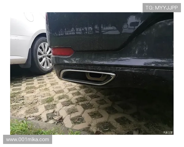 z6尊龙官网专业的技术支持团队，全天候为玩家解决各种问题